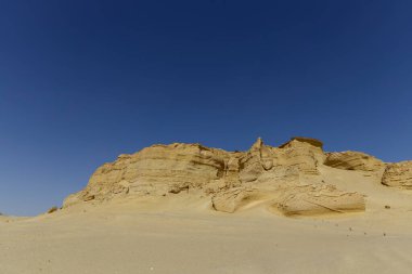 Balina Çölü, diğer adıyla Wadi Al Hitan, Mısır. Yüksek kalite fotoğraf