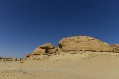 Balina Çölü, diğer adıyla Wadi Al Hitan, Mısır. Yüksek kalite fotoğraf