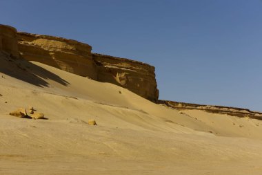 Balina Çölü, diğer adıyla Wadi Al Hitan, Mısır. Yüksek kalite fotoğraf