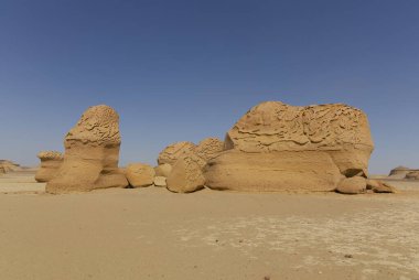 Balina Çölü, diğer adıyla Wadi Al Hitan, Mısır. Yüksek kalite fotoğraf