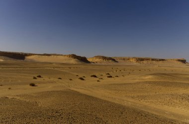 Balina Çölü, diğer adıyla Wadi Al Hitan, Mısır. Yüksek kalite fotoğraf