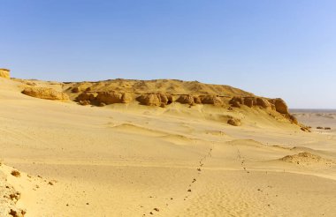 Balina Çölü, diğer adıyla Wadi Al Hitan, Mısır. Yüksek kalite fotoğraf