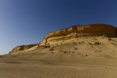 Balina Çölü, diğer adıyla Wadi Al Hitan, Mısır. Yüksek kalite fotoğraf