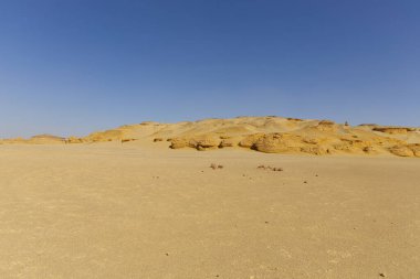 Balina Çölü, diğer adıyla Wadi Al Hitan, Mısır. Yüksek kalite fotoğraf