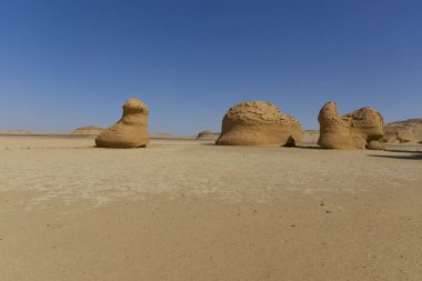 Balina Çölü, diğer adıyla Wadi Al Hitan, Mısır. Yüksek kalite fotoğraf