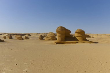 Balina Çölü, diğer adıyla Wadi Al Hitan, Mısır. Yüksek kalite fotoğraf