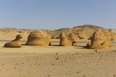Balina Çölü, diğer adıyla Wadi Al Hitan, Mısır. Yüksek kalite fotoğraf