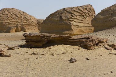 Balina Çölü, diğer adıyla Wadi Al Hitan, Mısır. Yüksek kalite fotoğraf