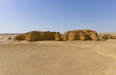 Balina Çölü, diğer adıyla Wadi Al Hitan, Mısır. Yüksek kalite fotoğraf