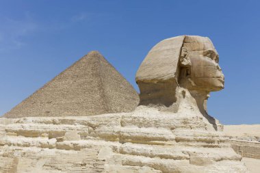 Giza 'daki Sfenks, Kahire, Mısır. Yüksek kalite fotoğraf