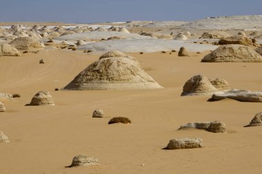 Eski beyaz çölün karakteristik kayaları, Mısır. Yüksek kalite fotoğraf