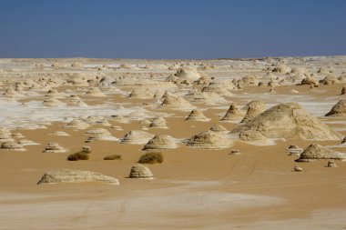 Eski beyaz çölün karakteristik kayaları, Mısır. Yüksek kalite fotoğraf