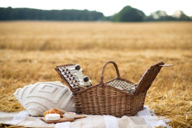 Piknik, üzerinde ekmek ve şarap olan sepet. piknik sepeti sahada