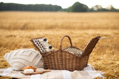 Piknik, üzerinde ekmek ve şarap olan sepet. piknik sepeti sahada