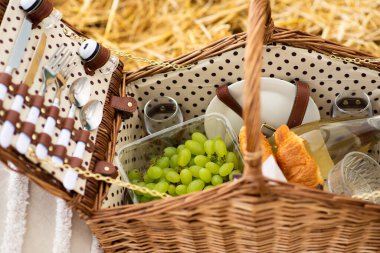 Doğadaki çayırlarda boş sepetli piknik yorganı. Panoramik manzara. Boş zaman ve aile hafta sonu kavramı.