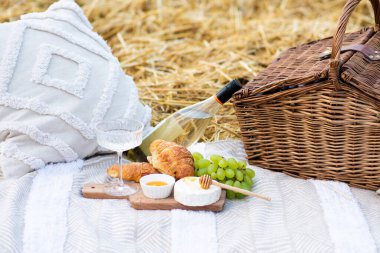 Camembert pikniği, üzüm, bal. Tarlada güzel piknik..