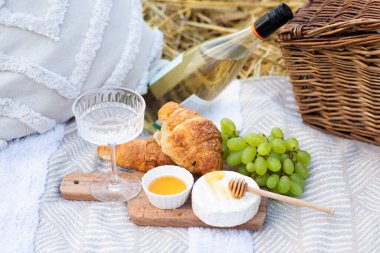 Camembert pikniği, üzüm, bal. Tarlada güzel piknik..