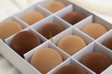 Beyaz zemin üzerinde altın bir halka ile kadife top metin için boşluk ile bir Noel ağacı için.