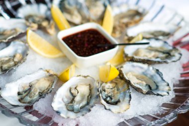 Tahta bir masada buzlu ve limonlu beyaz tabakta taze istiridye.