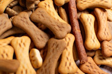 Evcil köpekler için kuru yiyecek, orta ve büyük köpekler için beslenme zamanı.