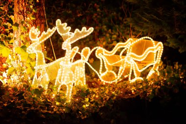 Bahçede Noel için parıldayan geyik figürü