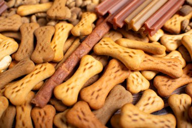 Farklı köpek maması türlerinin üst görüntüsü, kurutulmuş yiyecekler. Köpek maması konsepti.