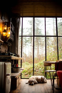 Ahşap detaylarla dolu bir mutfak, minimalist iç tasarım. Gerçek fotoğraf. Konforlu ev.