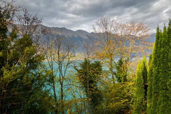 Magnifique Lac Brienzersee Suisse Les Villages Suisses Sur Elle — Photo