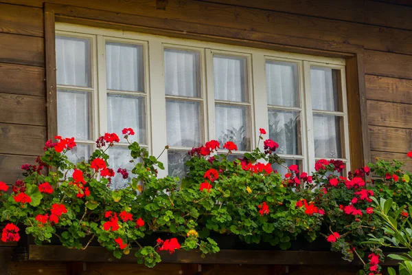 Piękne Szwajcarskie Okna Alpejskiej Wiosce — Zdjęcie stockowe