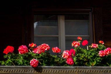 Alp köyündeki güzel İsviçre pencereleri