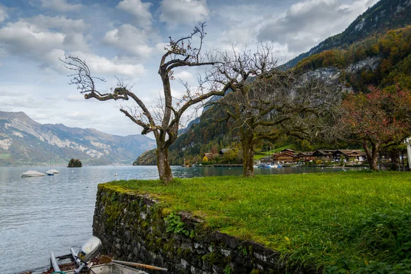 İsviçre 'deki görkemli Brienzersee Gölü ve İsviçre köyleri.