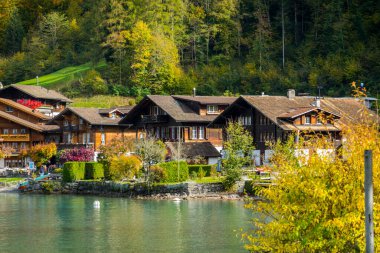 Magnificent Lake Brienzersee in Switzerland and Swiss villages on it clipart