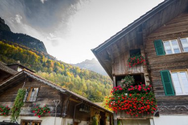 Alp köyündeki güzel İsviçre evleri.