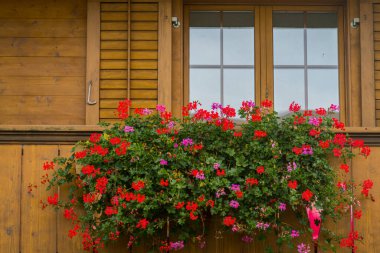 Alp köyündeki güzel İsviçre pencereleri