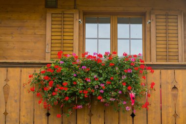 Alp köyündeki güzel İsviçre pencereleri