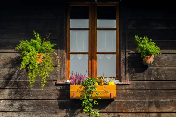 Beautiful Swiss Windows Alpine Village — Stock Photo, Image