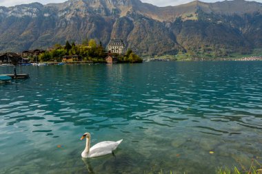 İsviçre 'deki görkemli Brienzersee Gölü ve İsviçre köyleri.