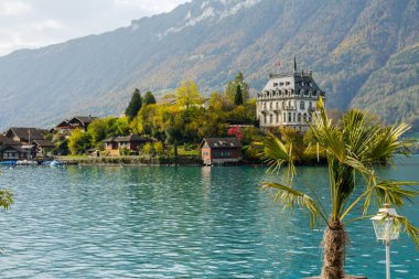 İsviçre 'deki güzel Brienzersee ve üzerindeki şato..