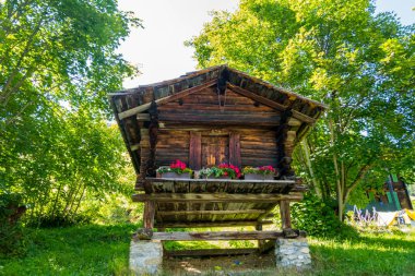 25.06.22 Switzerland. İsviçre 'de güzel Alpler ve Şelaleler. Bernese Alpleri