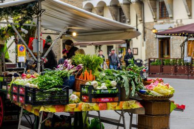 Magnificent Florence, Architecture, cathedrals and streets of Florence