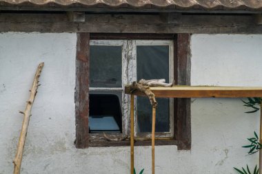 28.09.22.Switzerland. Beautiful Swiss windows in an alpine village