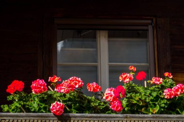 28.09.22.Switzerland. Beautiful Swiss windows in an alpine village