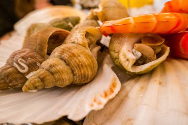 Restoranda çeşitli Fransız mutfağı var. Lezzetli yemek.