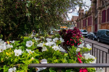 Fransa 'nın inanılmaz güzel şehri Colmar, Alsace. Güzel sokaklar ve evler