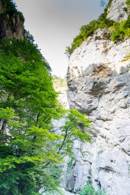 Aare Nehri Boğazı. İsviçre 'de inanılmaz bir kanyon.