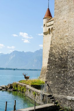 İsviçre 'deki Chillon Kalesi. Cenevre Gölü kıyısında