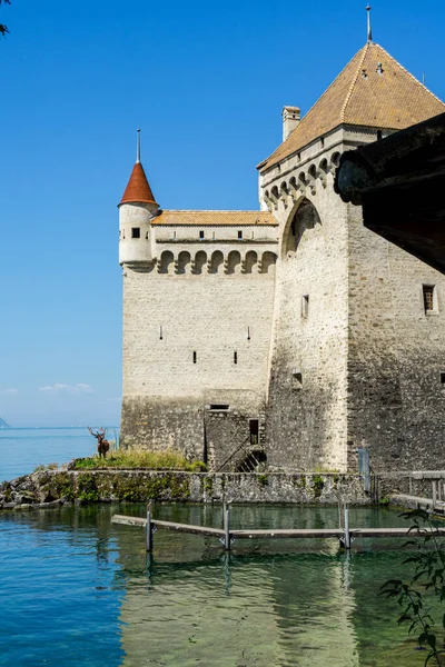 stock image Chillon Castle in Switzerland. On the shores of Lake Geneva