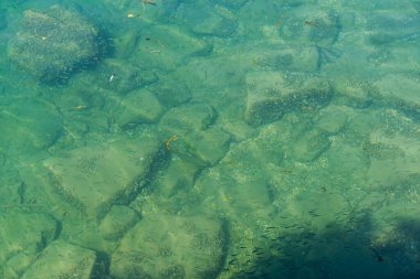 İsviçre 'deki Chillon Kalesi. Cenevre Gölü kıyısında