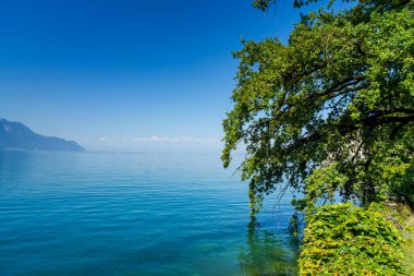 İsviçre 'deki Chillon Kalesi. Cenevre Gölü kıyısında