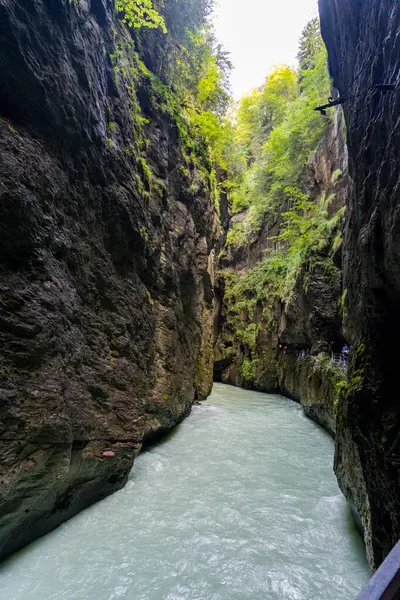 Garganta Del Río Aare Increíble Cañón Suiza — Foto de Stock